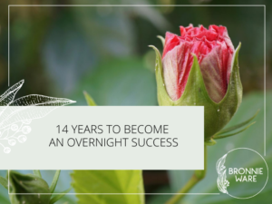 14 years to become an overnight success Bronnie Ware