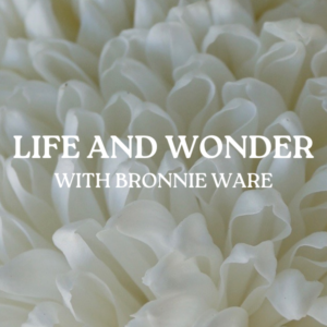 Life and Wonder