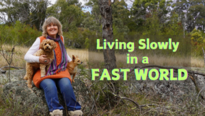 Living Slowly in a Fast World